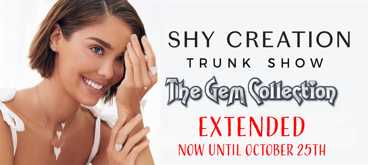 Shy Creation trunk show web banner extended sale