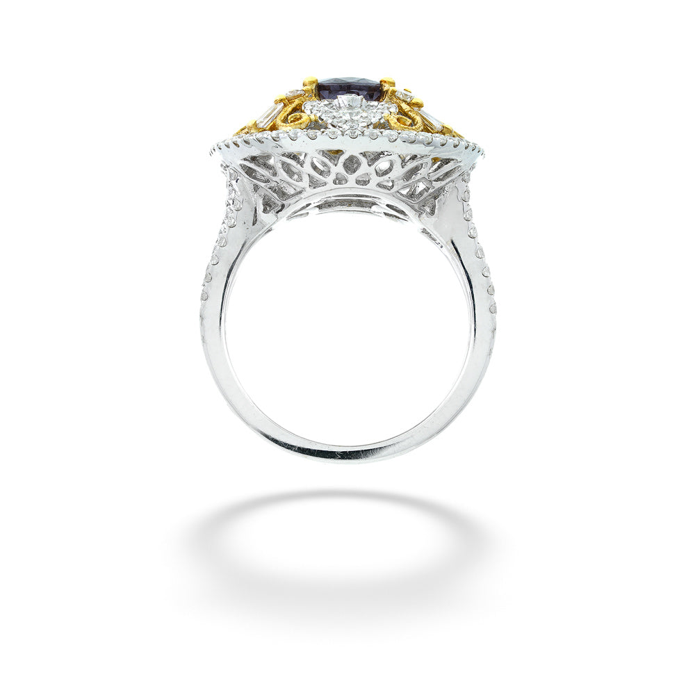 Elegant ring with gold and silver design on a white background Color Change Garnet Ring