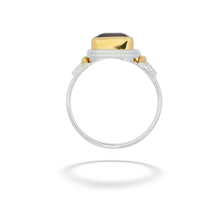 Gold and silver ring with a gemstone on a white background Garnet Ring with Gold Vermeil by Michou