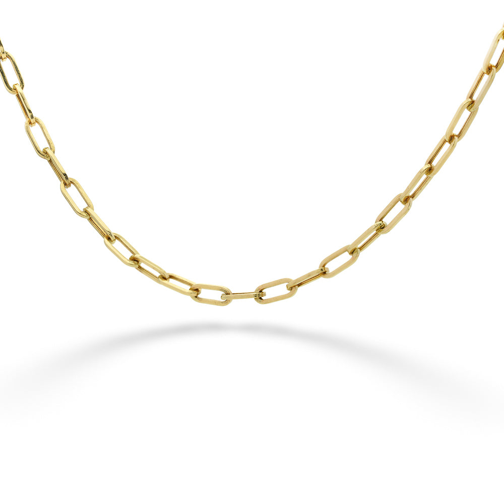 Gold chain necklace on a white background Paperclip Chain Necklace by Gabriel & Co.