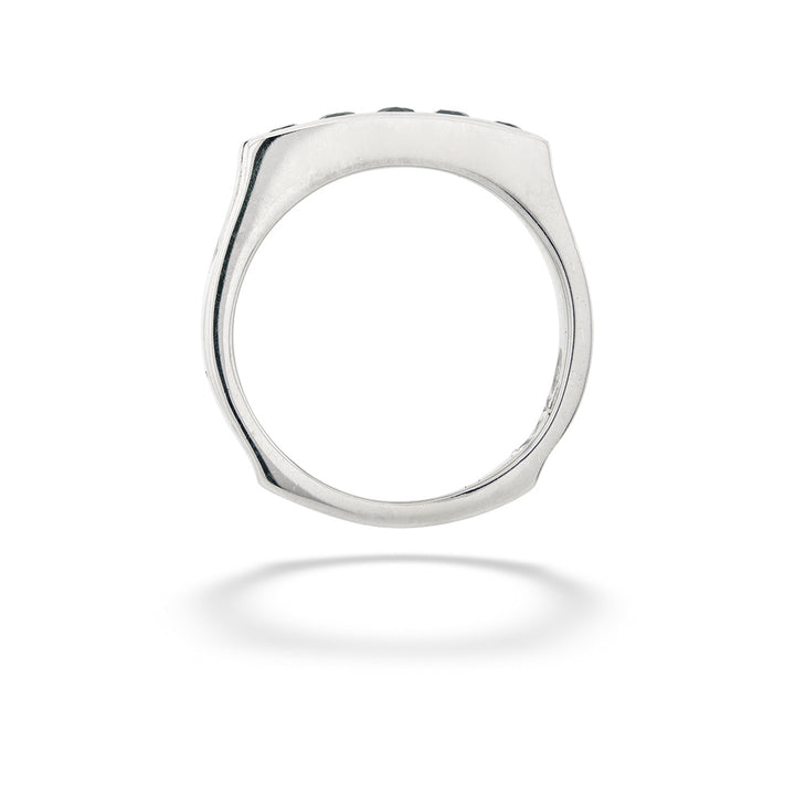Blue Sapphire Channel Set Band top view