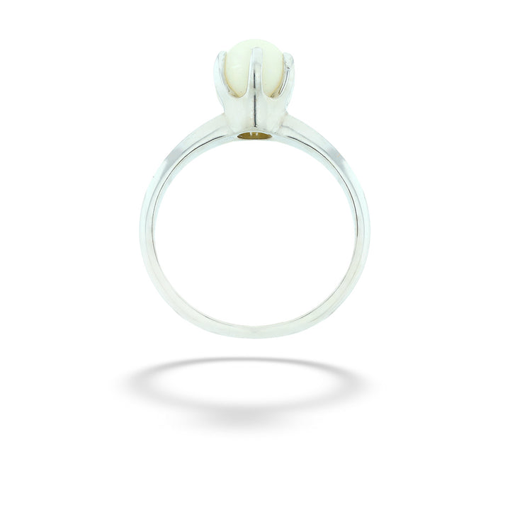 14 Karat White Gold 6.0 Millimeter Cultured Akoya Pearl Ring