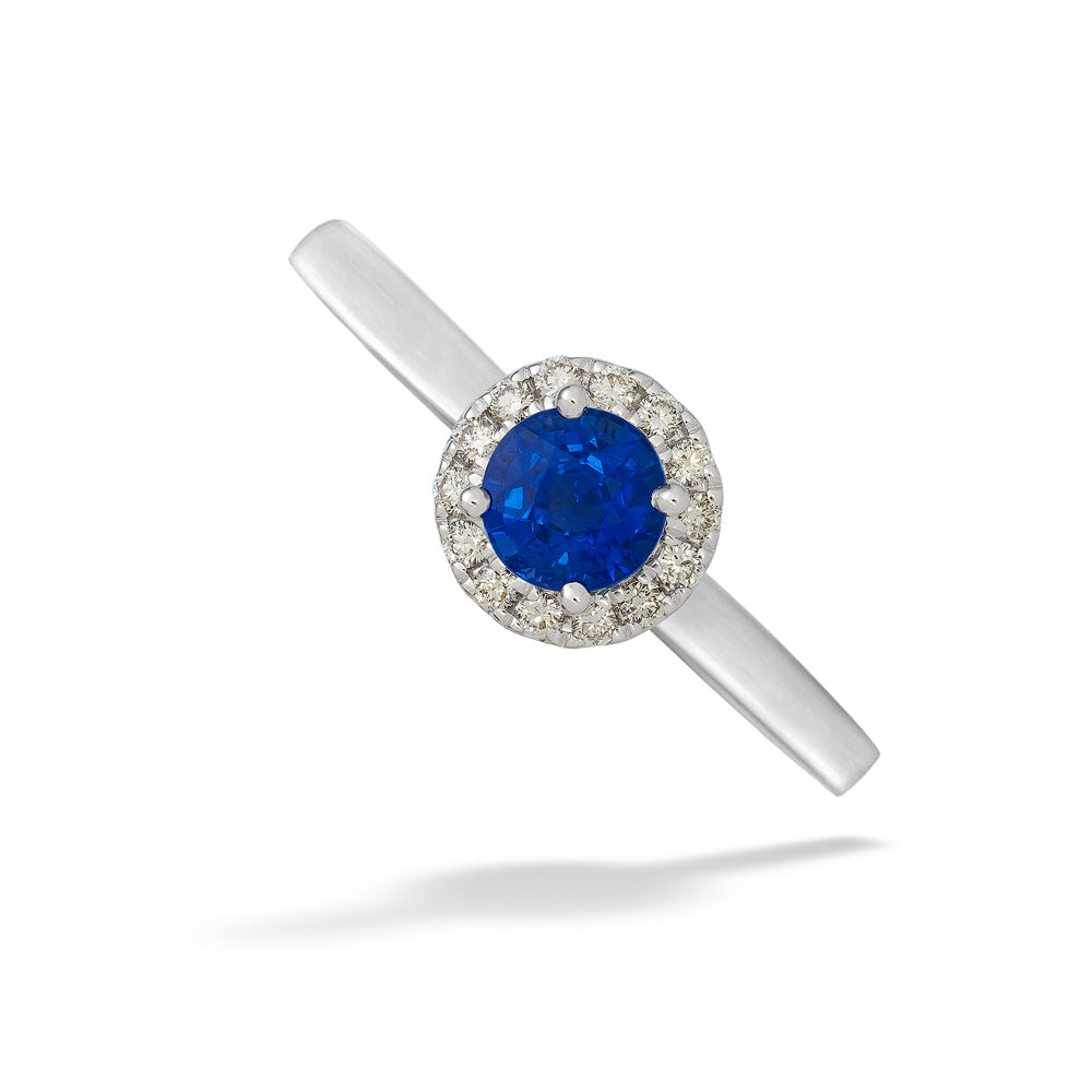 14K White Gold Sapphire & Diamond Halo Ring